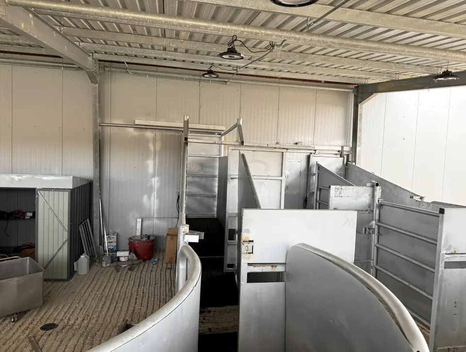 Curved handling chute that moves livestock from the pens into the plant